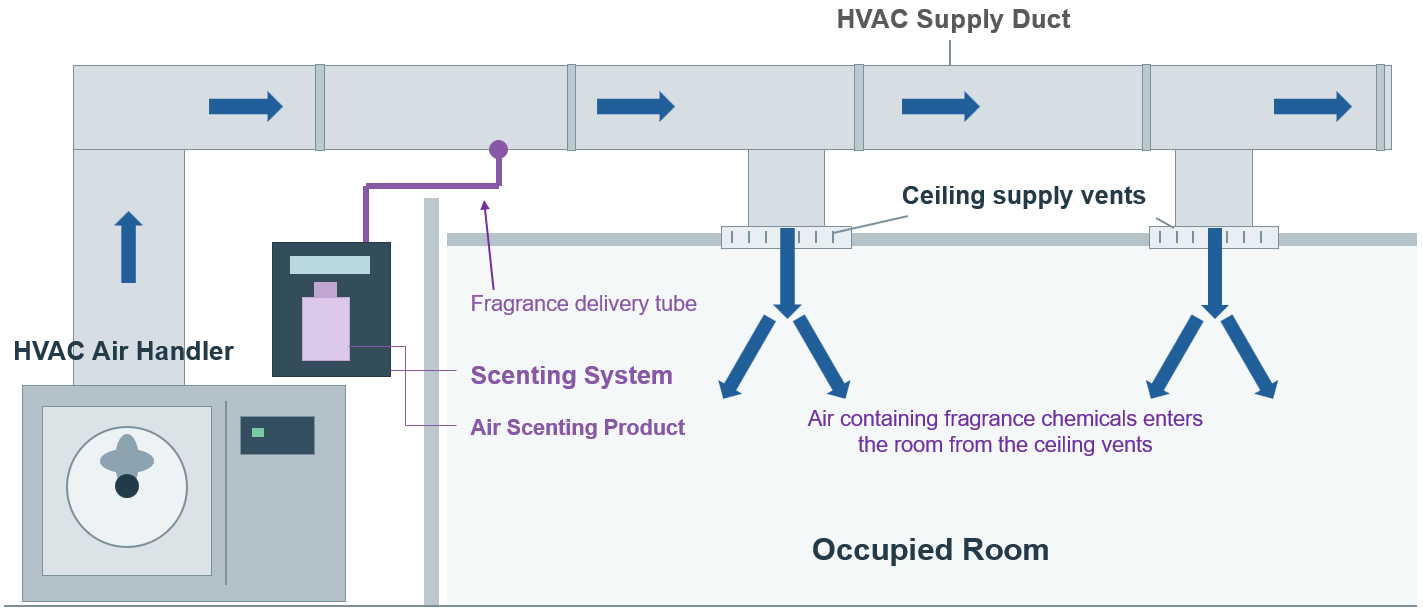 Conceptual illustration showing an HVAC-connected scenting system introducing fragrance into a supply duct, with airflow carrying scented air through ceiling vents into an occupied room.